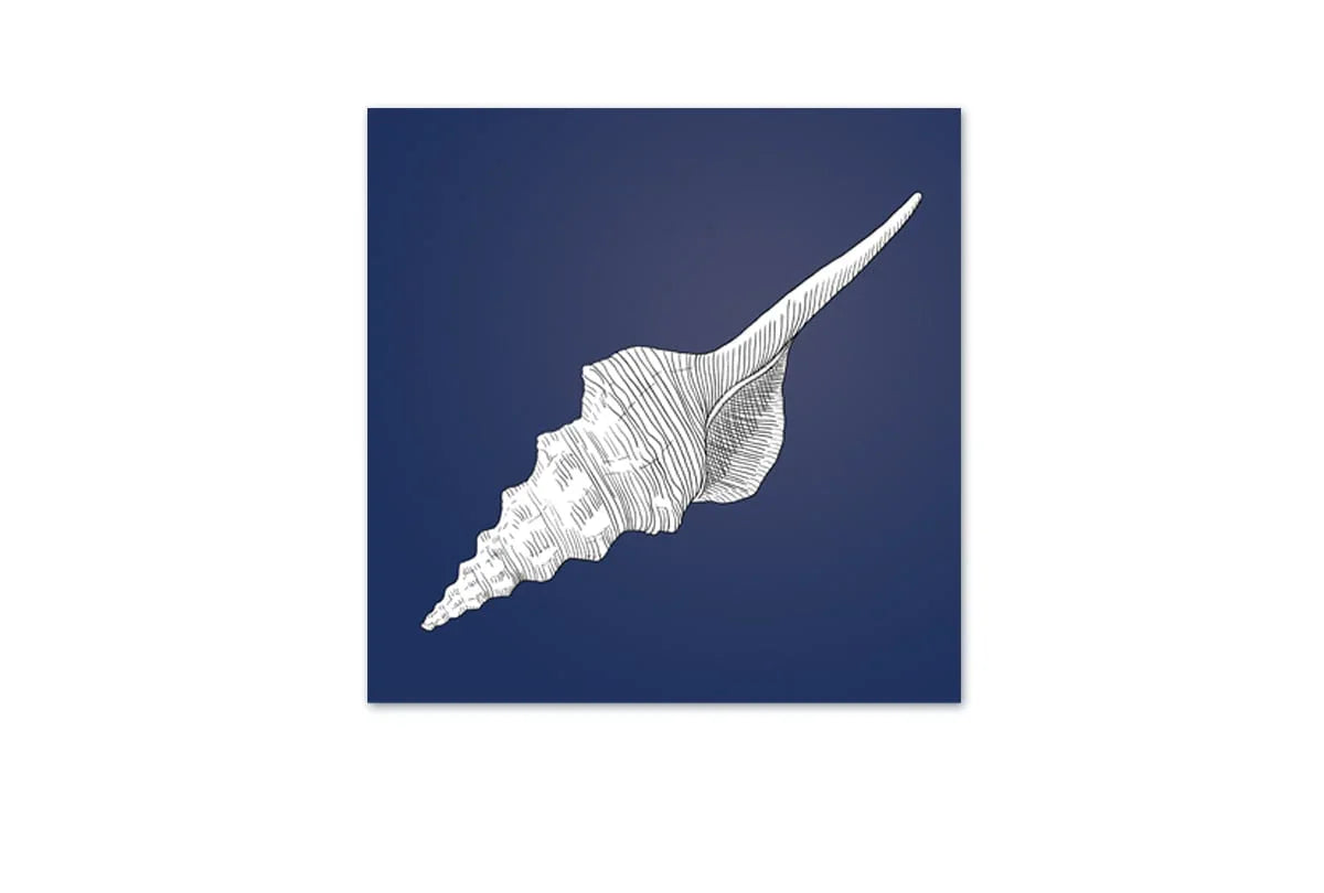Shell White on Navy | Canvas Wall Art Print - Final Touch Decor