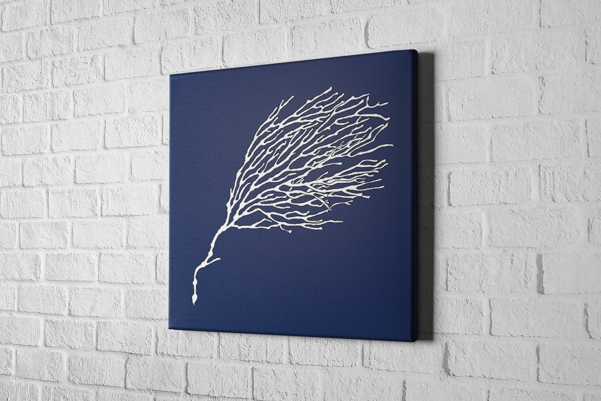 2134 Canvas Square
