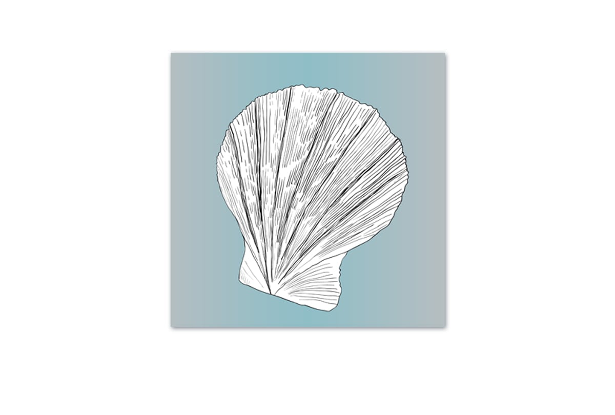 Shell 3 White on Teal | Canvas Wall Art Print - Final Touch Decor