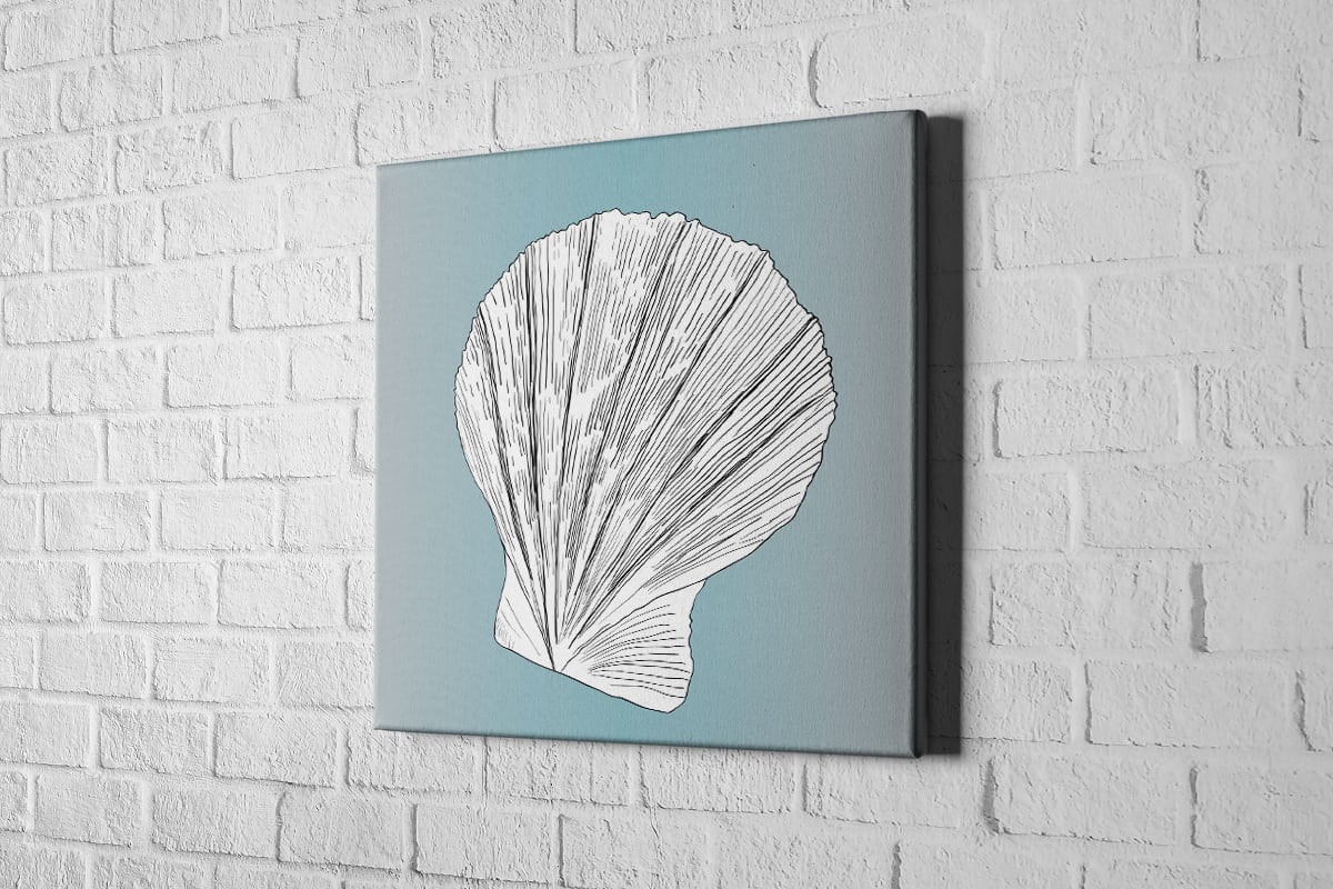Shell 3 White on Teal | Canvas Wall Art Print - Final Touch Decor
