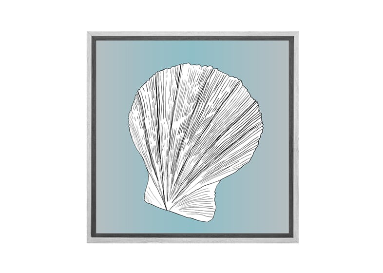 Shell 3 White on Teal | Canvas Wall Art Print - Final Touch Decor