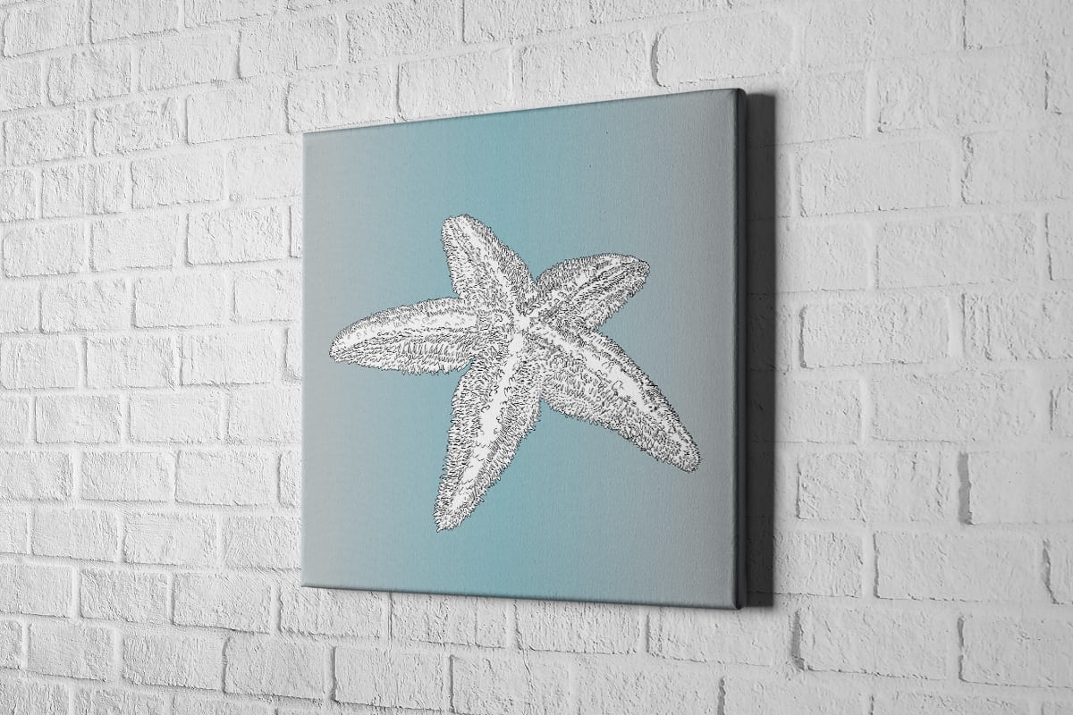 Star Fish White on Teal | Canvas Wall Art Print - Final Touch Decor