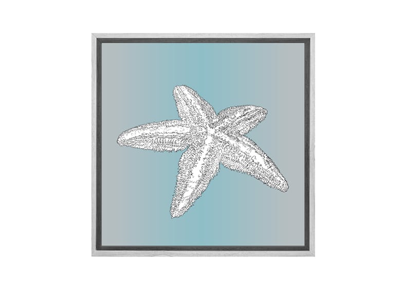 Star Fish White on Teal | Canvas Wall Art Print - Final Touch Decor
