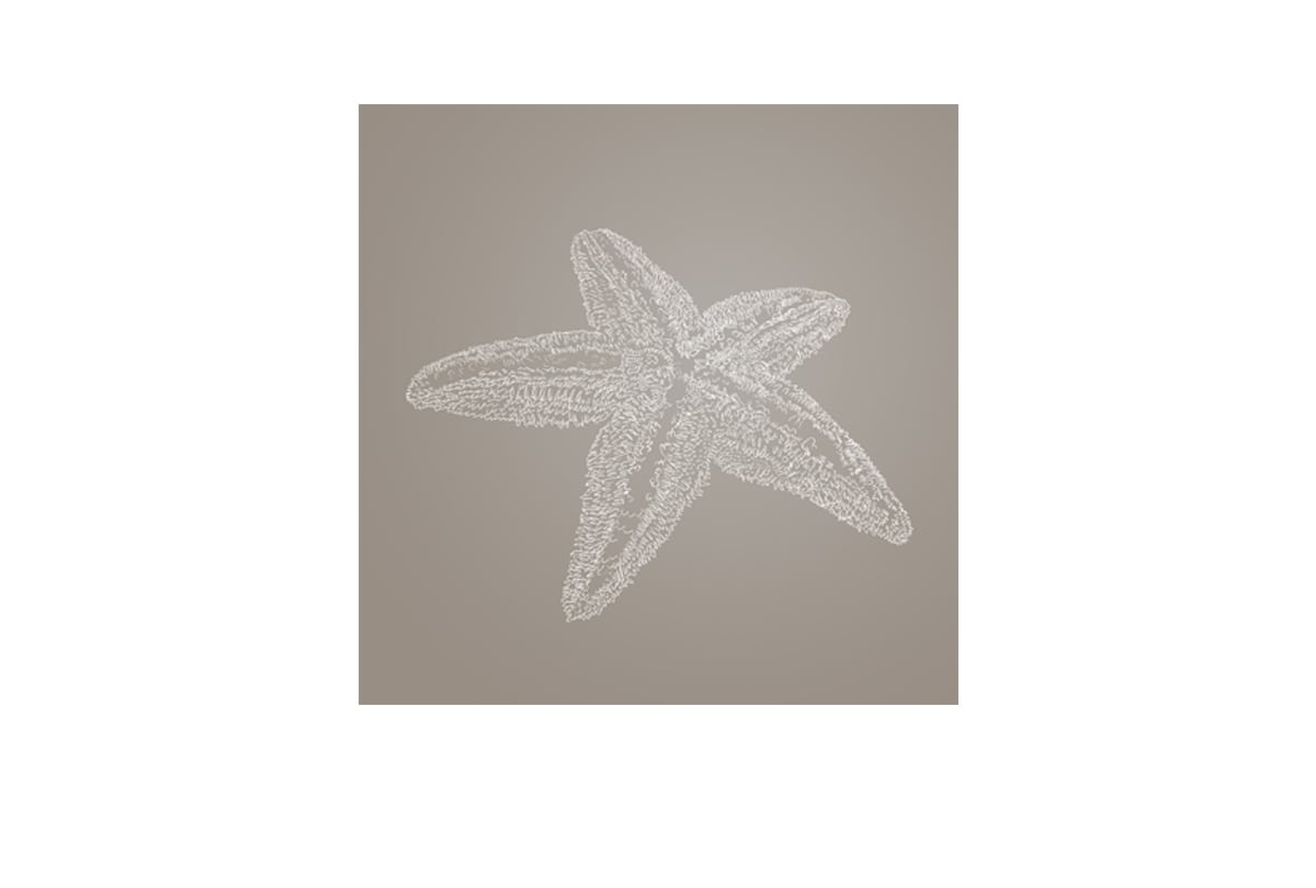 Star Fish 2 White on Beige | Canvas Wall Art Print - Final Touch Decor