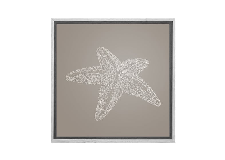 Star Fish 2 White on Beige | Canvas Wall Art Print - Final Touch Decor