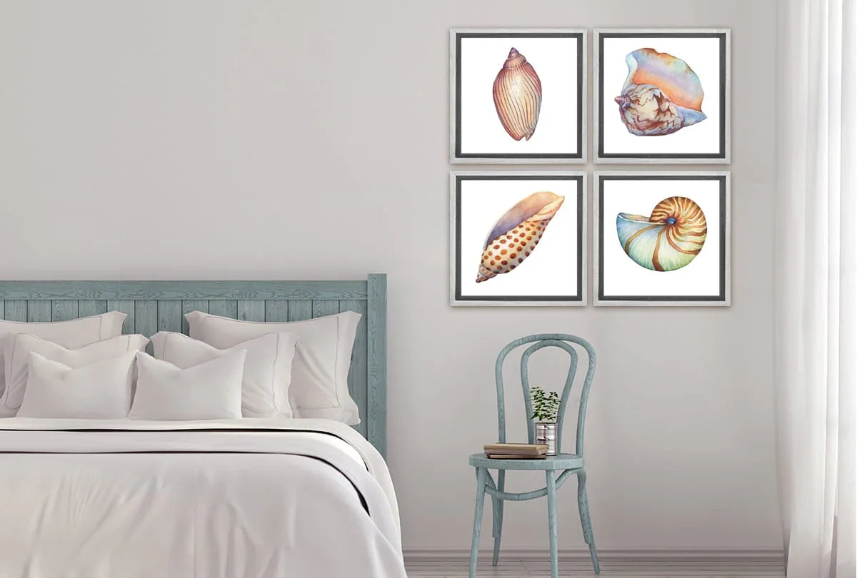Junonia Sea Shell | Canvas Wall Art Print - Final Touch Decor