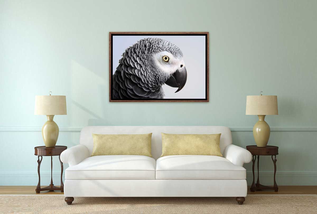 Grey African Parrot | Canvas Wall Art Print - Final Touch Decor