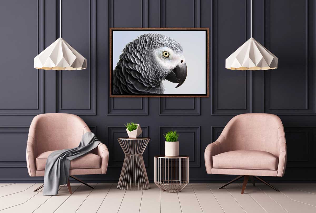 Grey African Parrot | Canvas Wall Art Print - Final Touch Decor