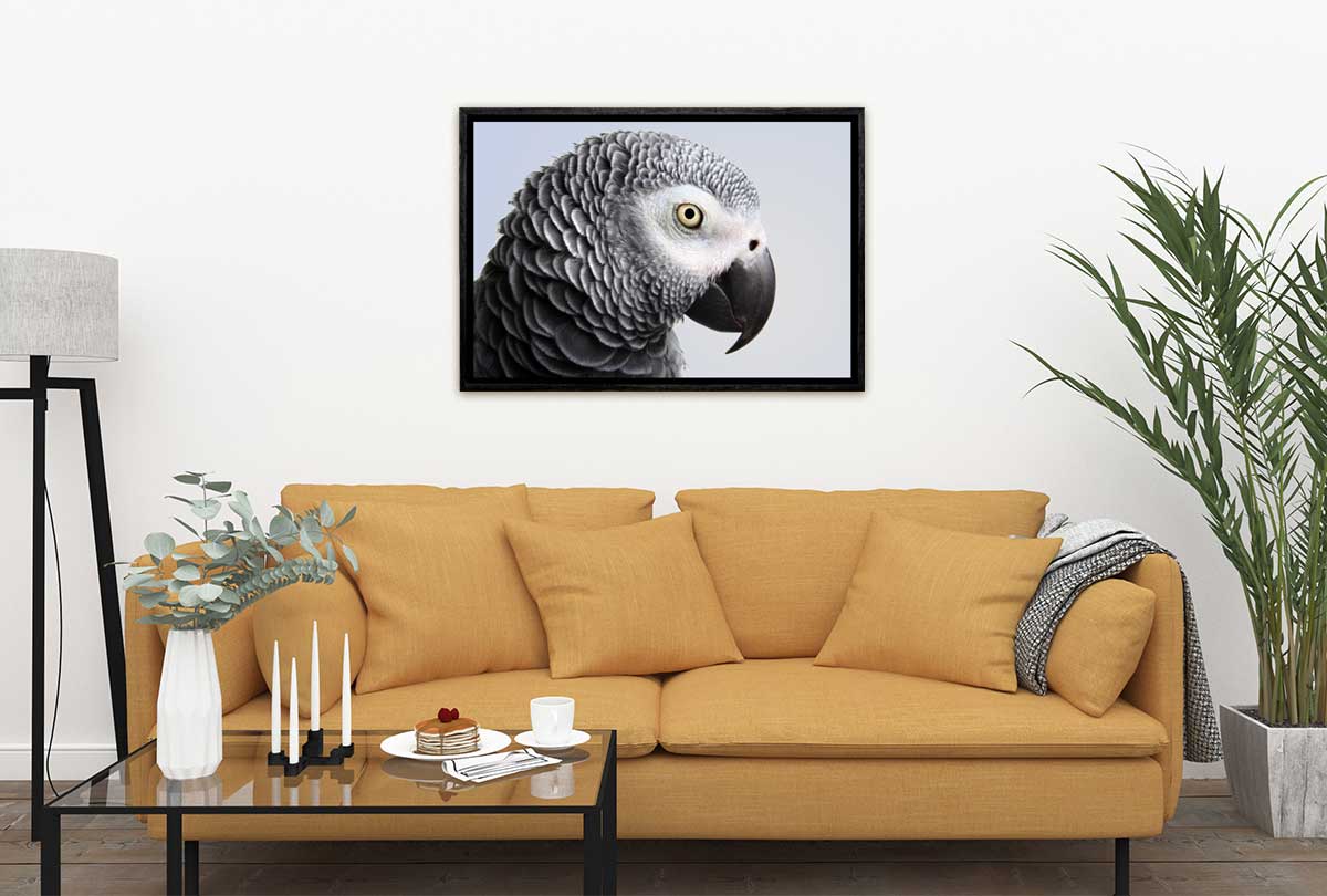 Grey African Parrot | Canvas Wall Art Print - Final Touch Decor