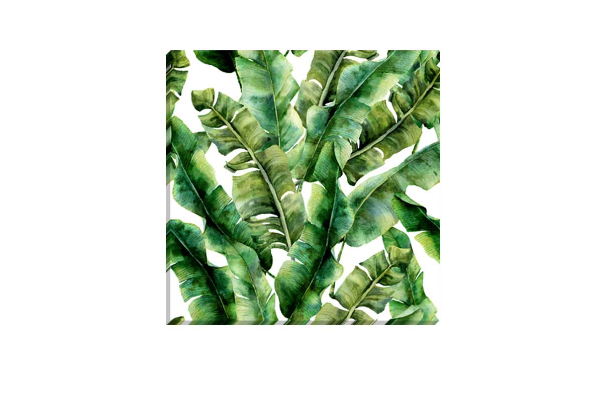 Banana Leaves 2 in Watercolour | Canvas Wall Art Print - Final Touch Decor