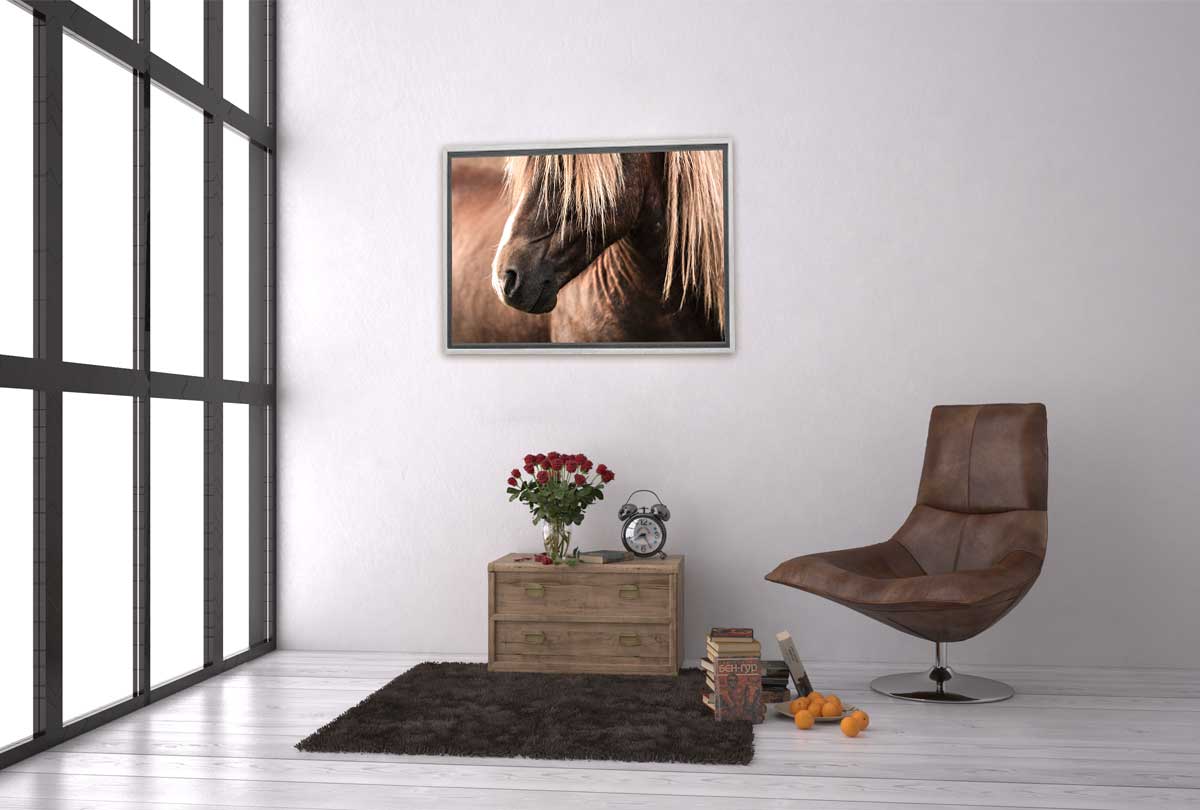 Icelandic Horse 3 | Canvas Wall Art Print - Final Touch Decor