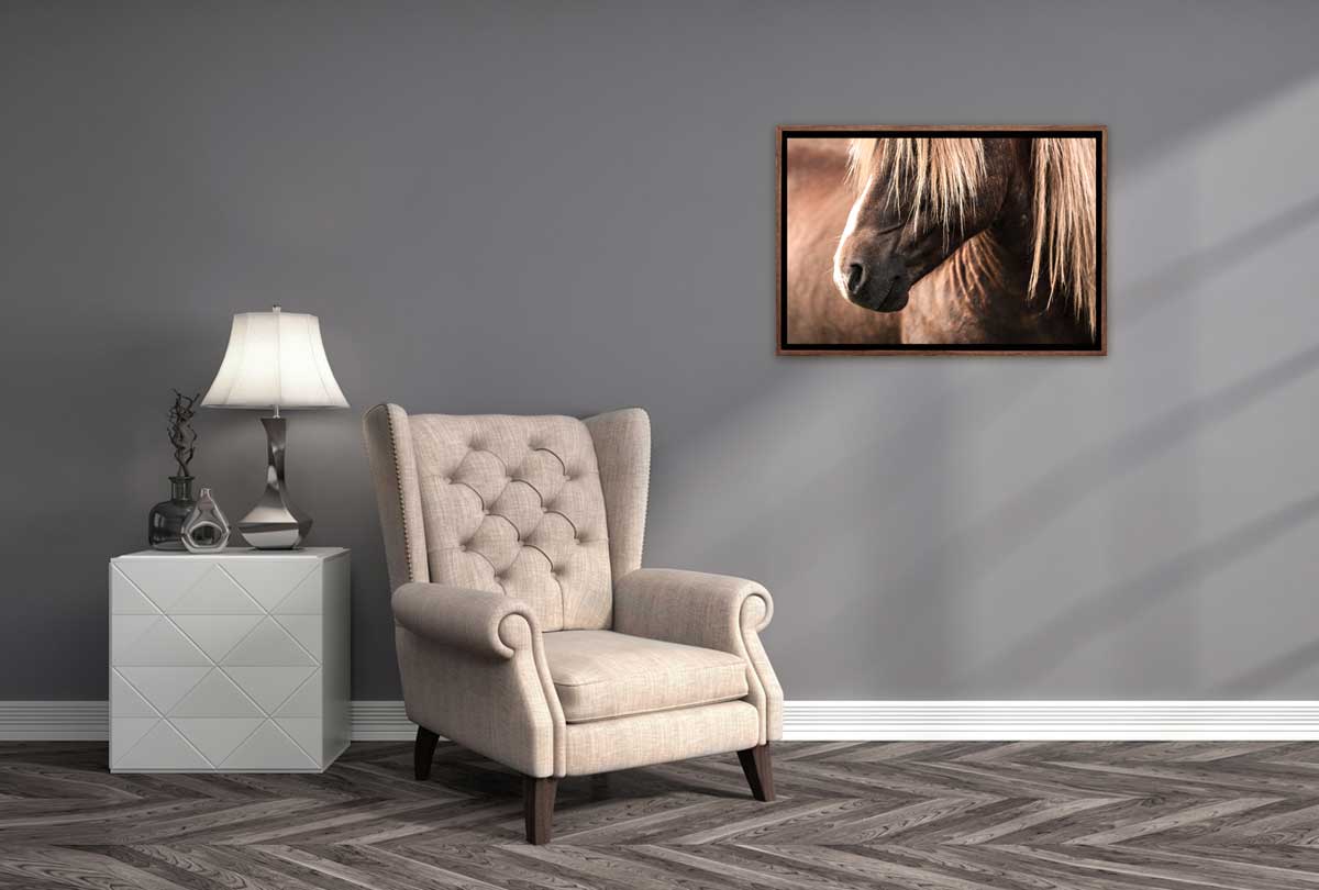Icelandic Horse 3 | Canvas Wall Art Print - Final Touch Decor