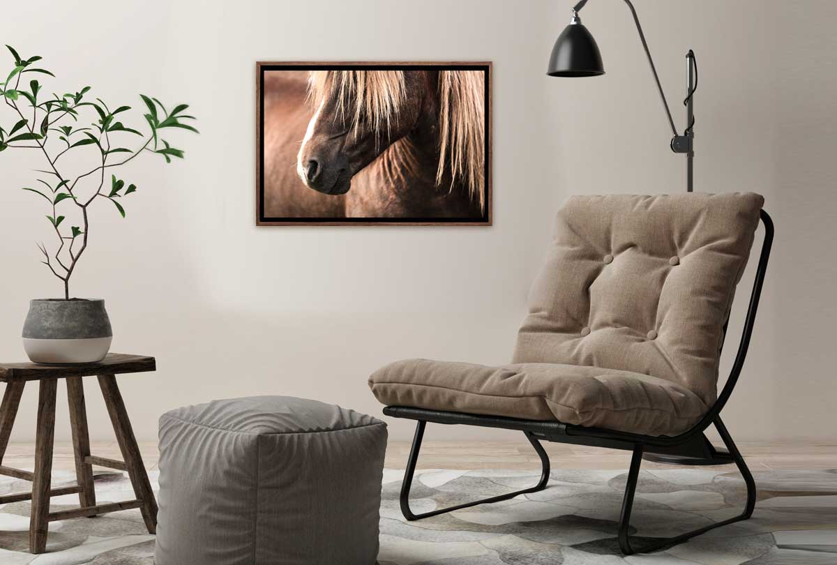 Icelandic Horse 3 | Canvas Wall Art Print - Final Touch Decor