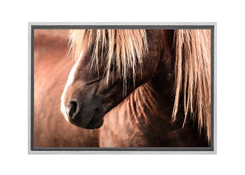 Icelandic Horse 3 | Canvas Wall Art Print - Final Touch Decor
