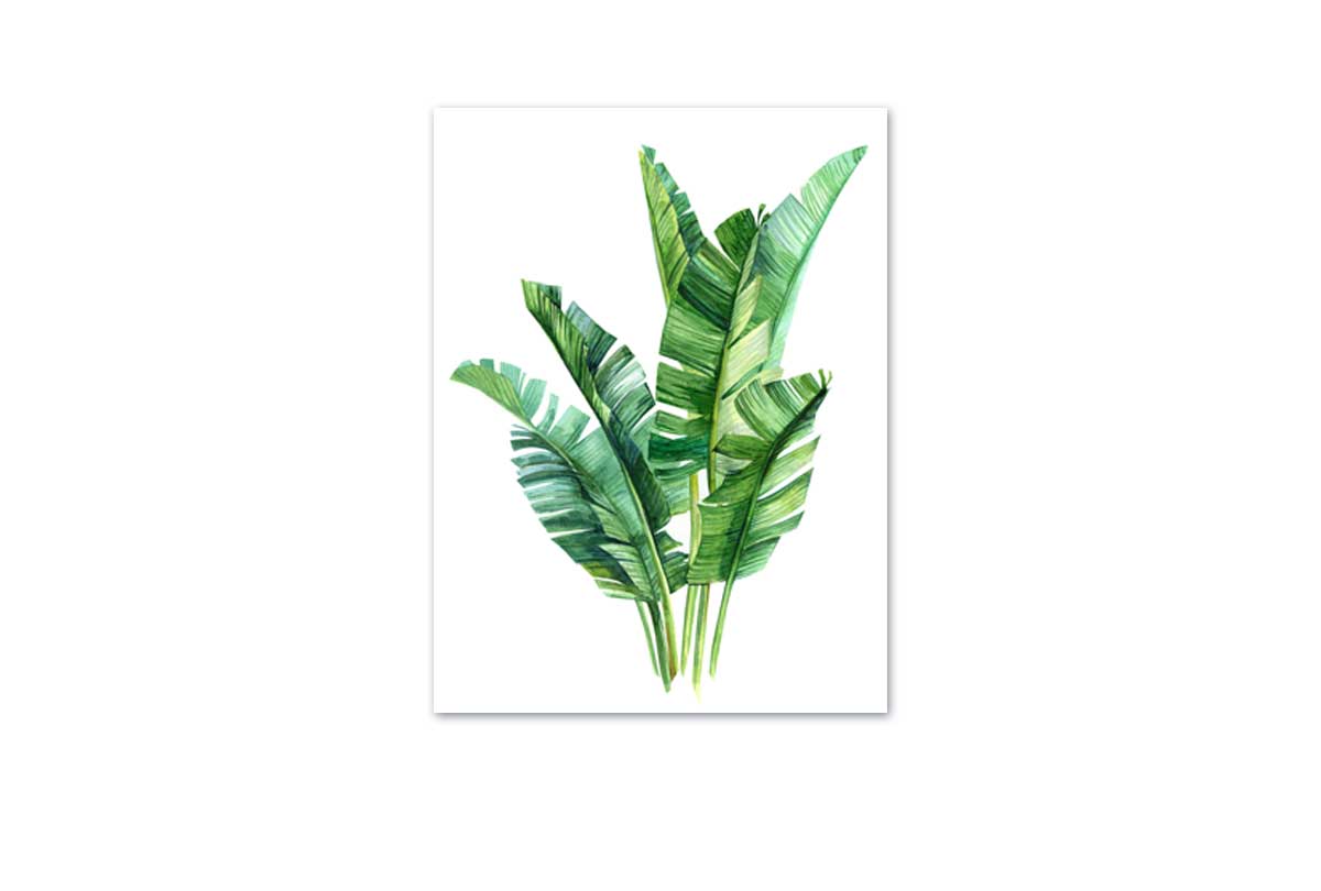Banana Leaves in Watercolour | Canvas Wall Art Print - Final Touch Decor