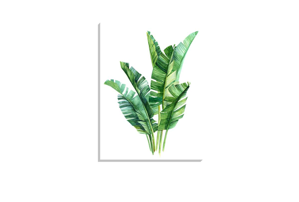 Banana Leaves in Watercolour | Canvas Wall Art Print - Final Touch Decor