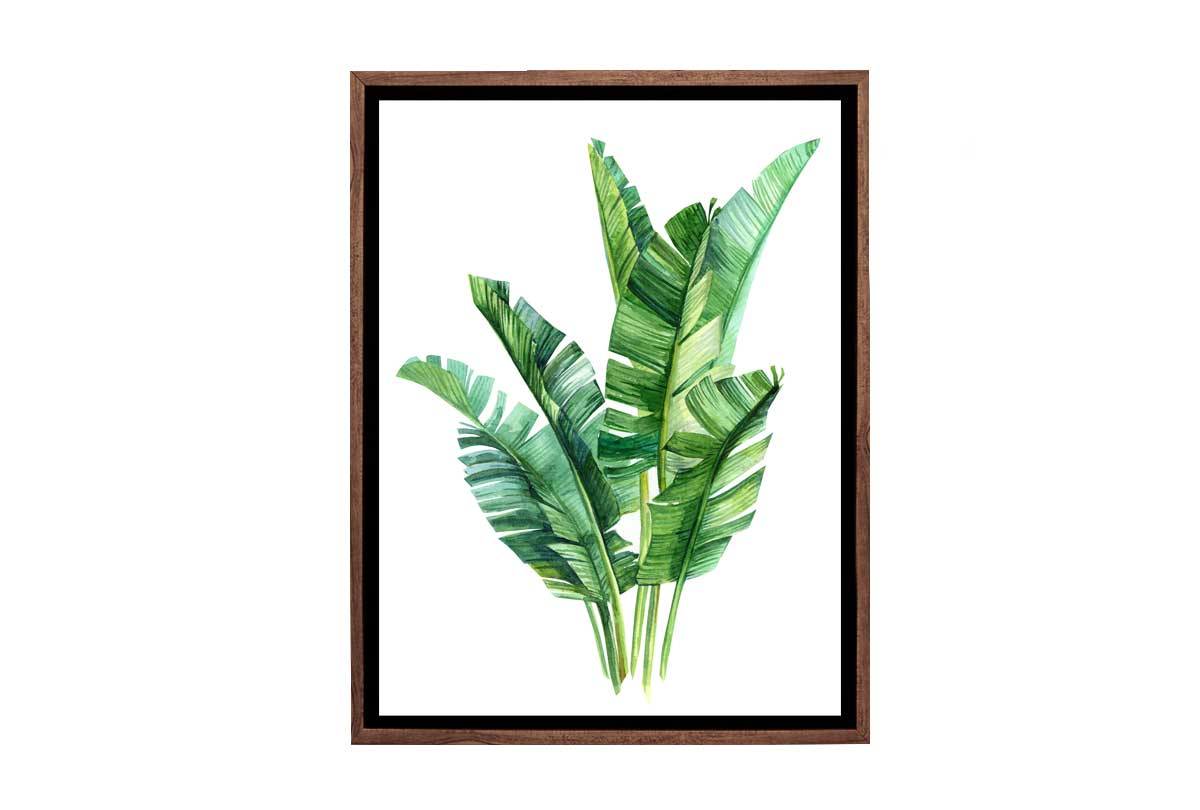 Banana Leaves in Watercolour | Canvas Wall Art Print - Final Touch Decor