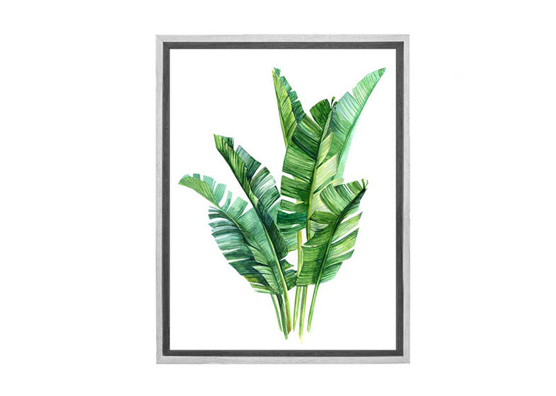 Banana Leaves in Watercolour | Canvas Wall Art Print - Final Touch Decor