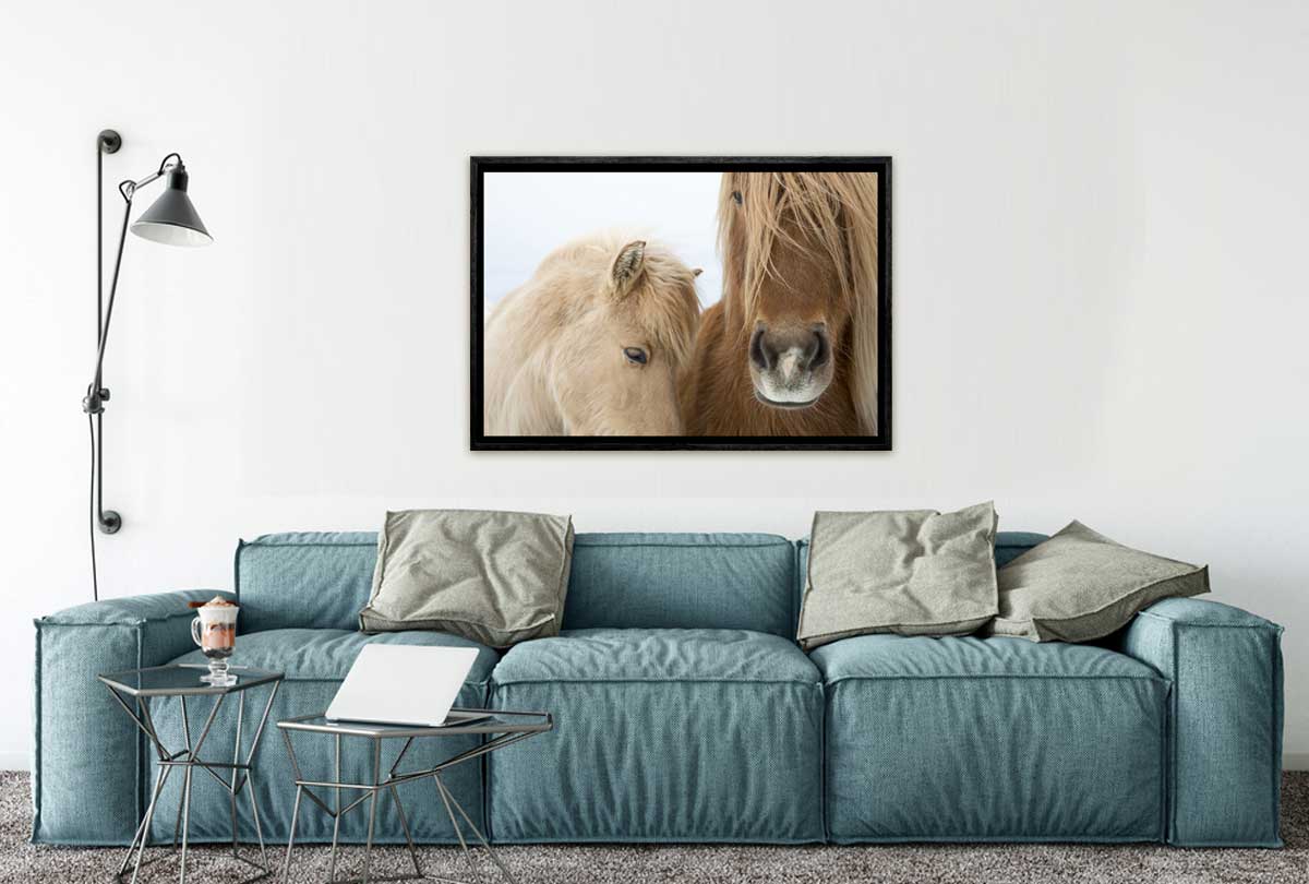 Icelandic Horses 2 | Canvas Art Print - Final Touch Decor