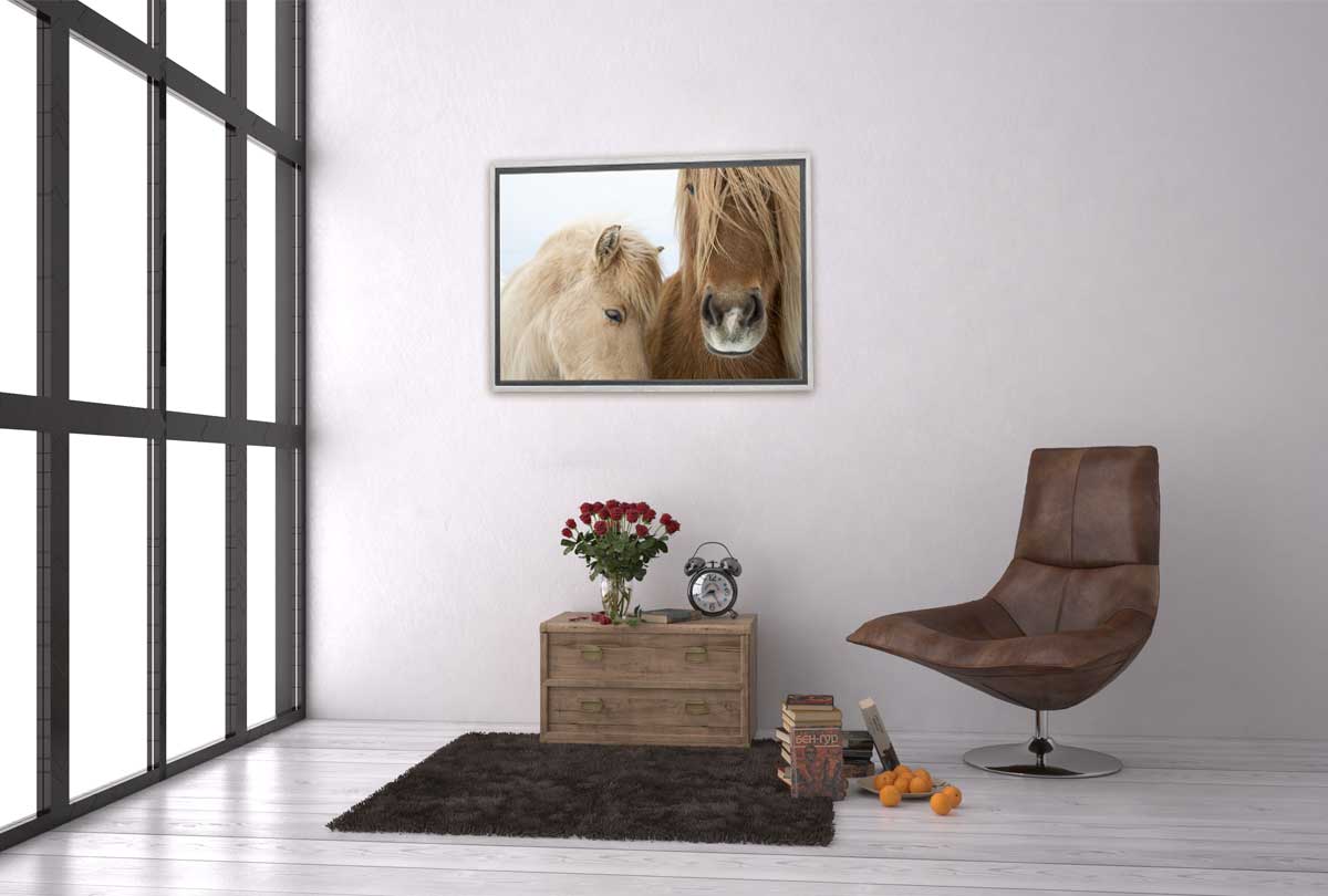 Icelandic Horses 2 | Canvas Art Print - Final Touch Decor