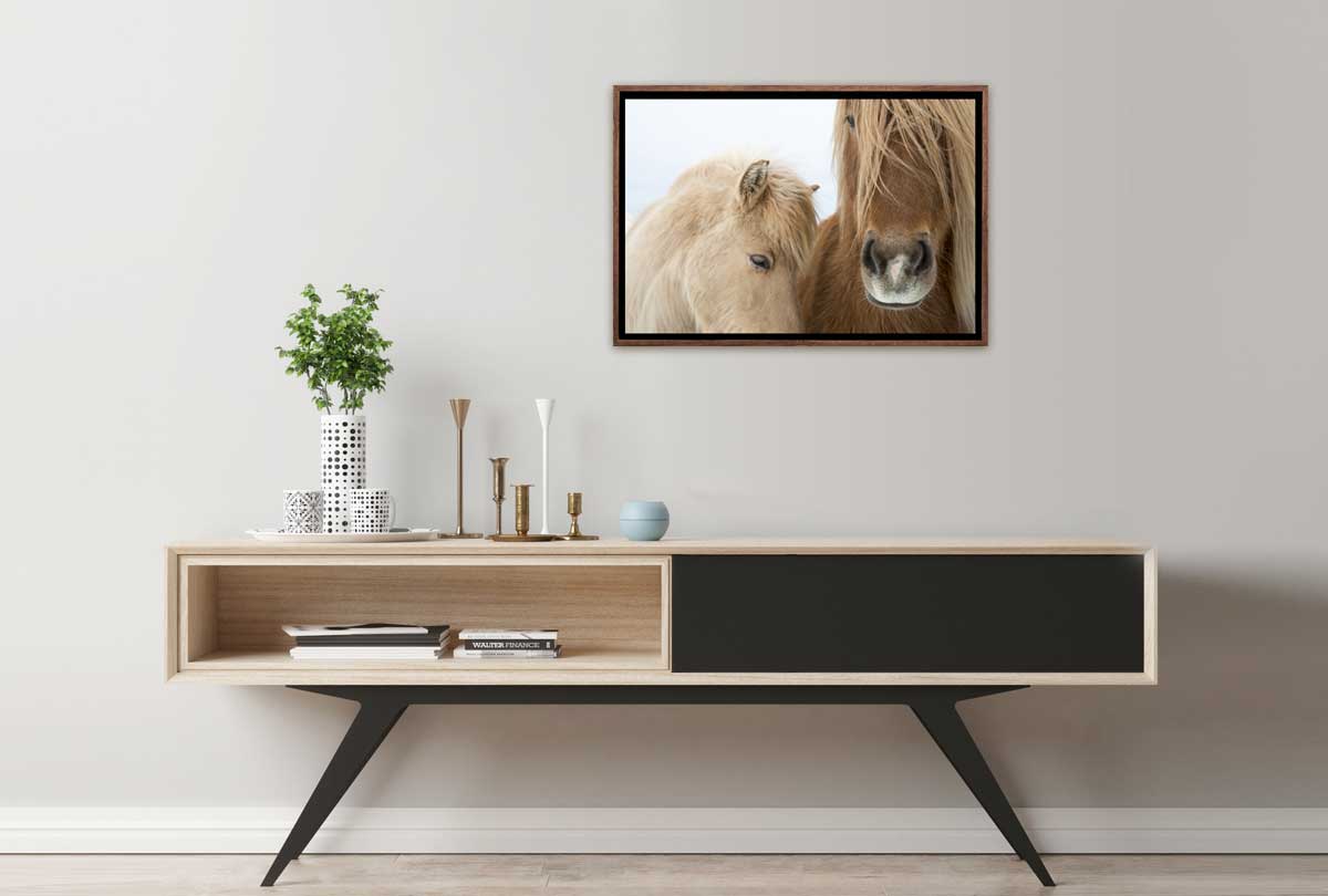 Icelandic Horses 2 | Canvas Art Print - Final Touch Decor