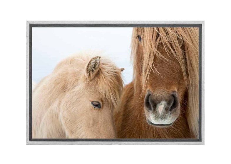 Icelandic Horses 2 | Canvas Art Print - Final Touch Decor