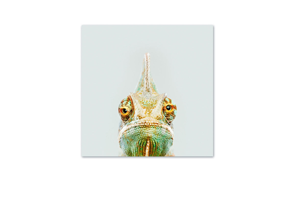 Cute Chameleon | Canvas Wall Art Print - Final Touch Decor