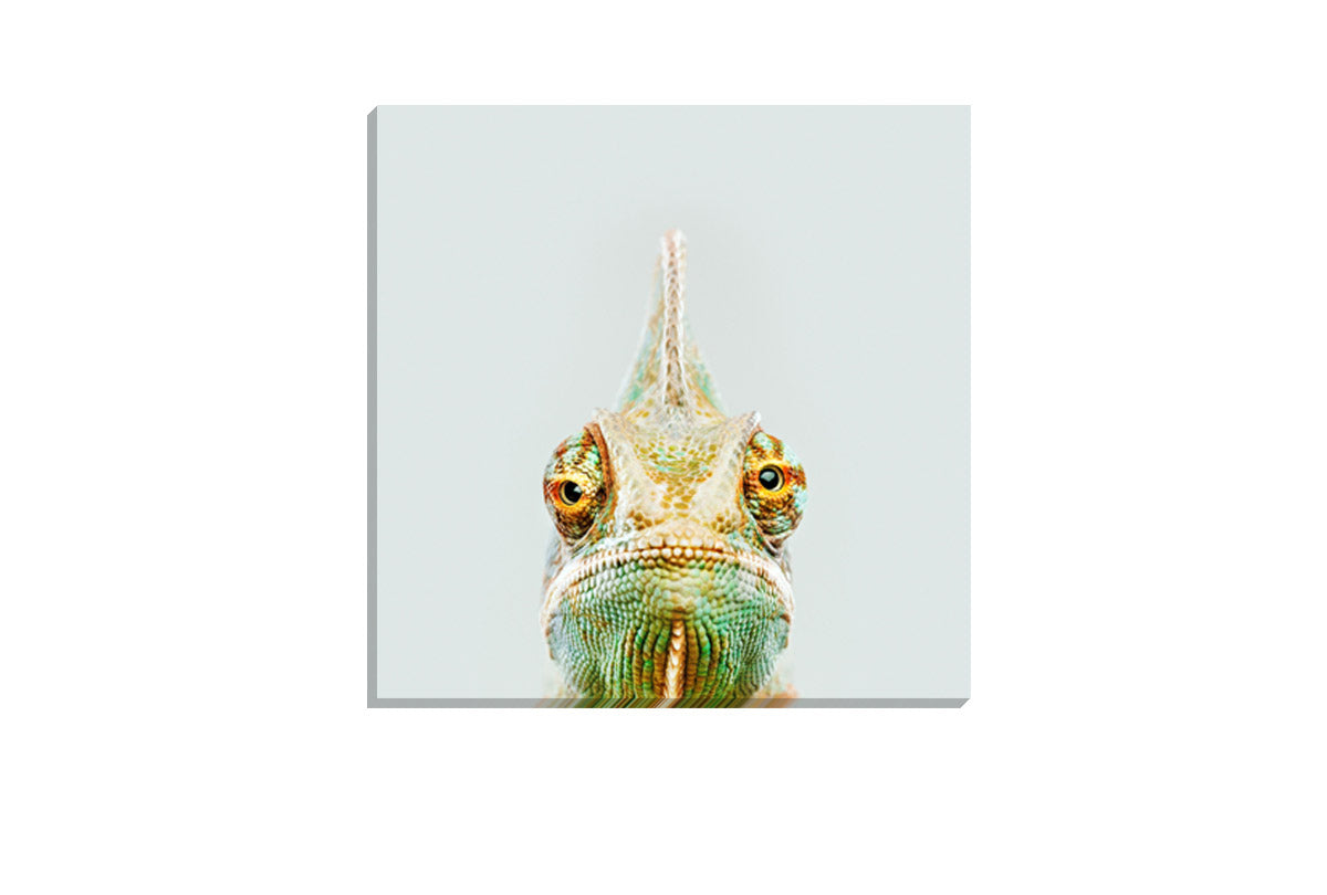 Cute Chameleon | Canvas Wall Art Print - Final Touch Decor