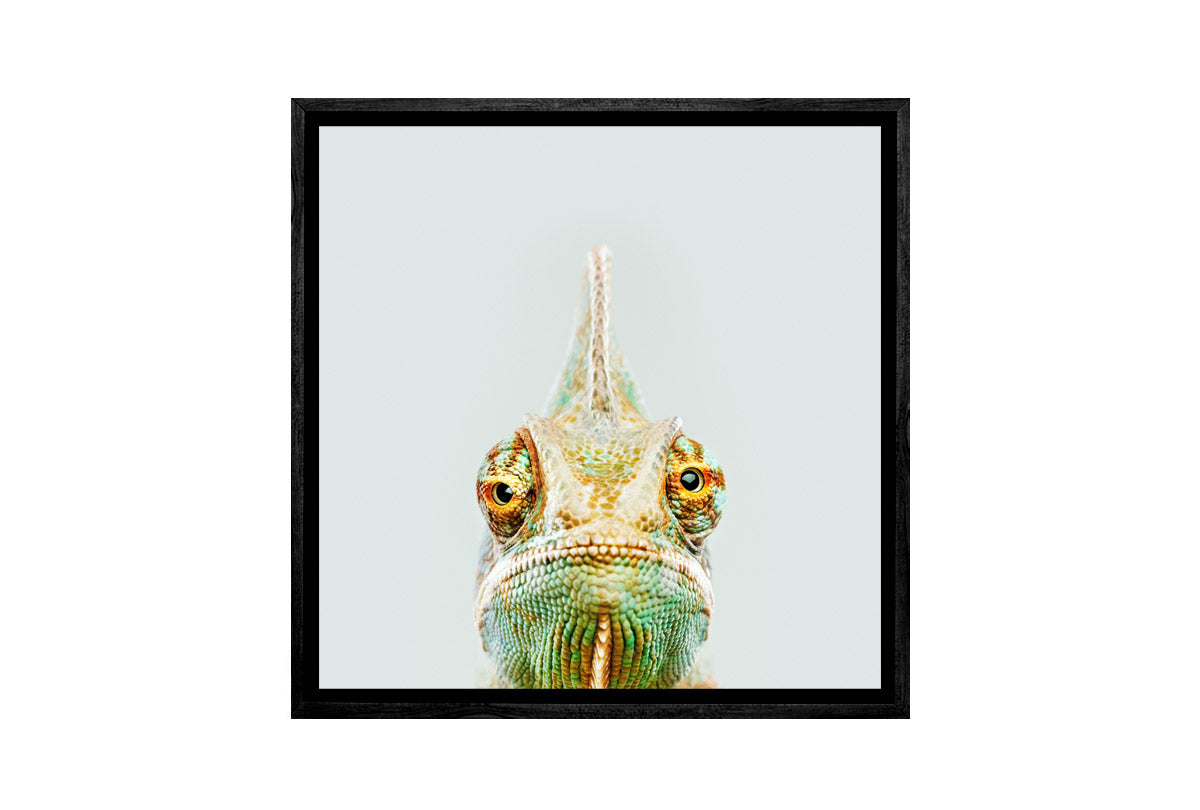 Cute Chameleon | Canvas Wall Art Print - Final Touch Decor