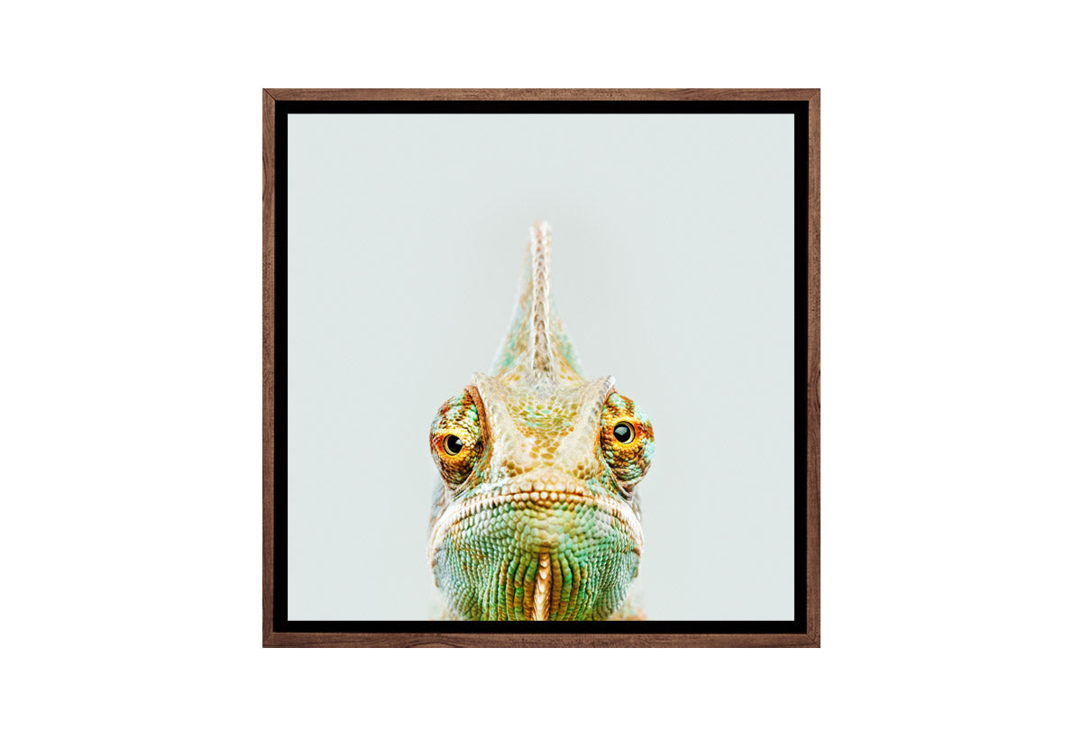 Cute Chameleon | Canvas Wall Art Print - Final Touch Decor