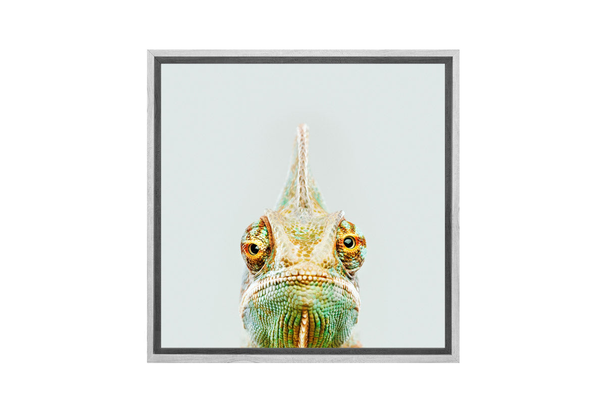 Cute Chameleon | Canvas Wall Art Print - Final Touch Decor