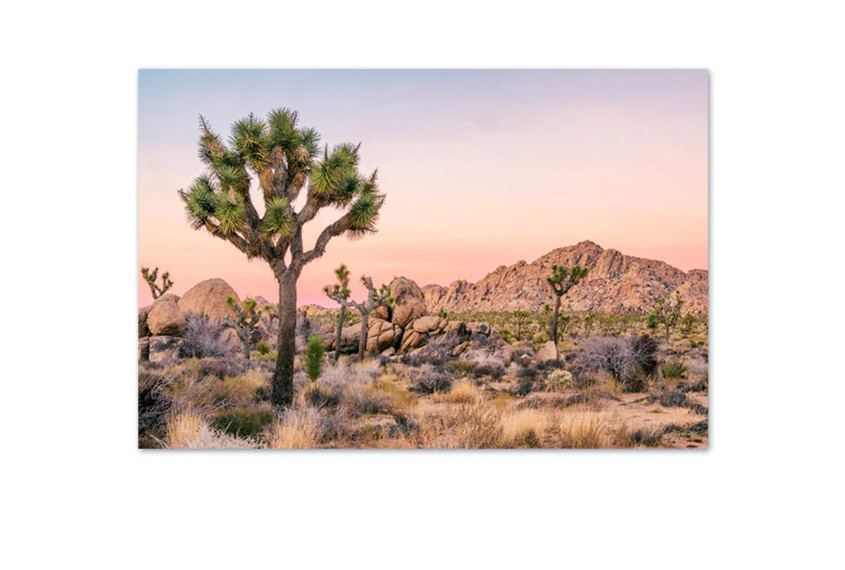 Desert Joshua Trees | Canvas Wall Art Print - Final Touch Decor