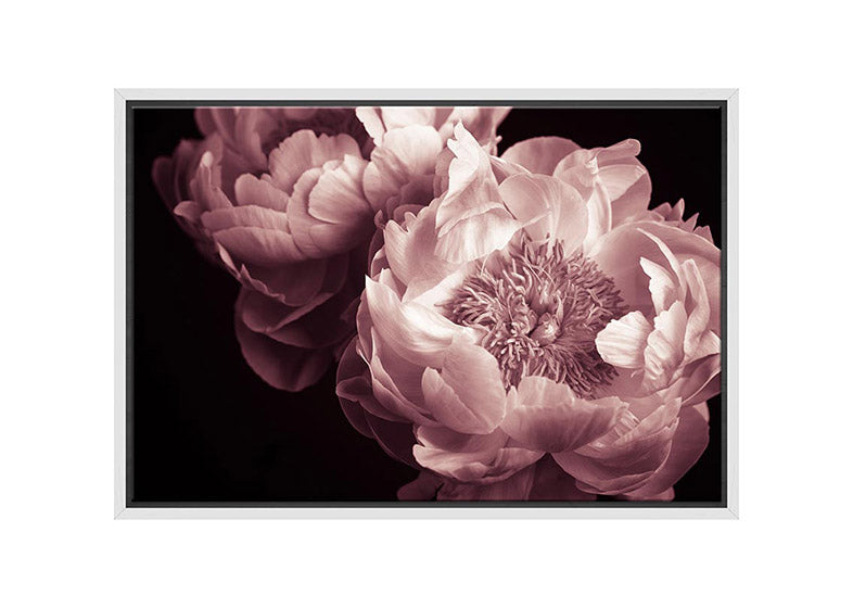 Pink Rose | Canvas Wall Art Print - Final Touch Decor
