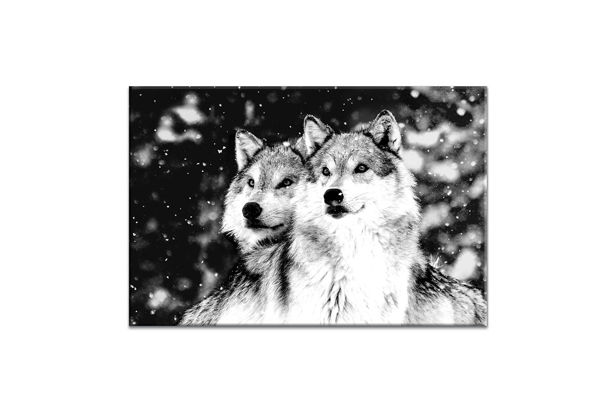 Wolves Black and White | Canvas Wall Art Print - Final Touch Decor