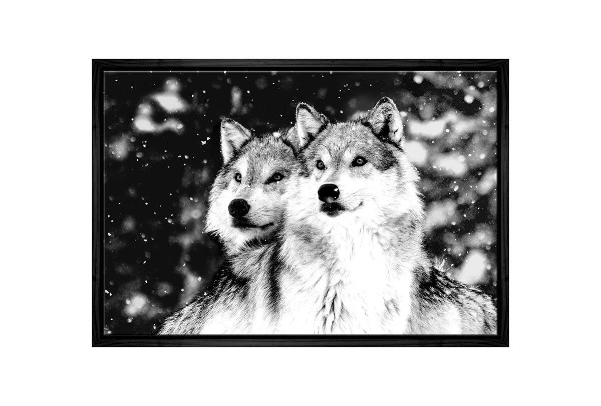Wolves Black and White | Canvas Wall Art Print - Final Touch Decor