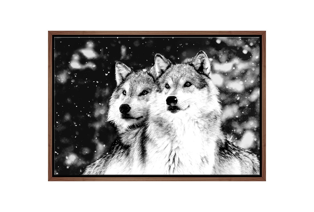 Wolves Black and White | Canvas Wall Art Print - Final Touch Decor