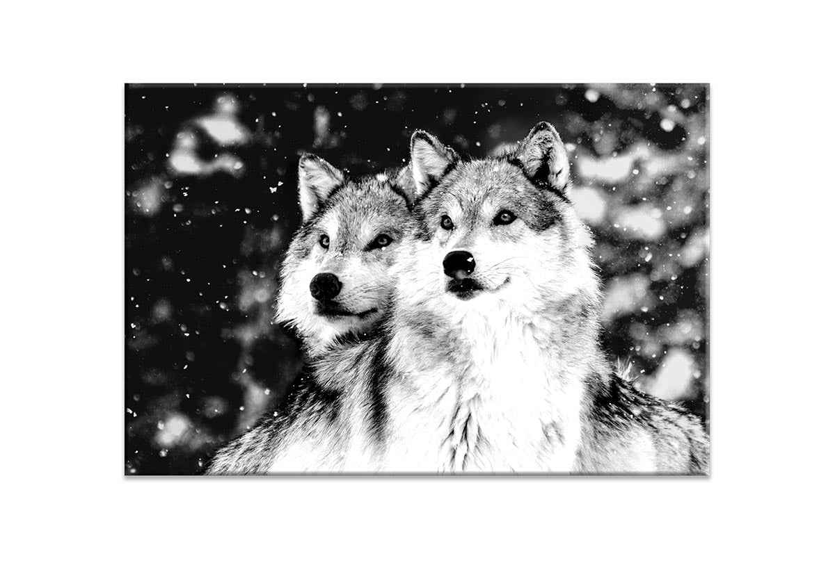 Wolves Black and White | Canvas Wall Art Print - Final Touch Decor
