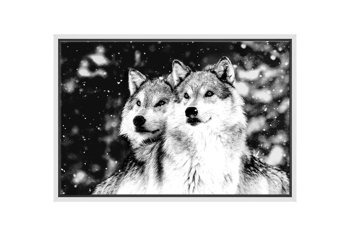 Wolves Black and White | Canvas Wall Art Print - Final Touch Decor