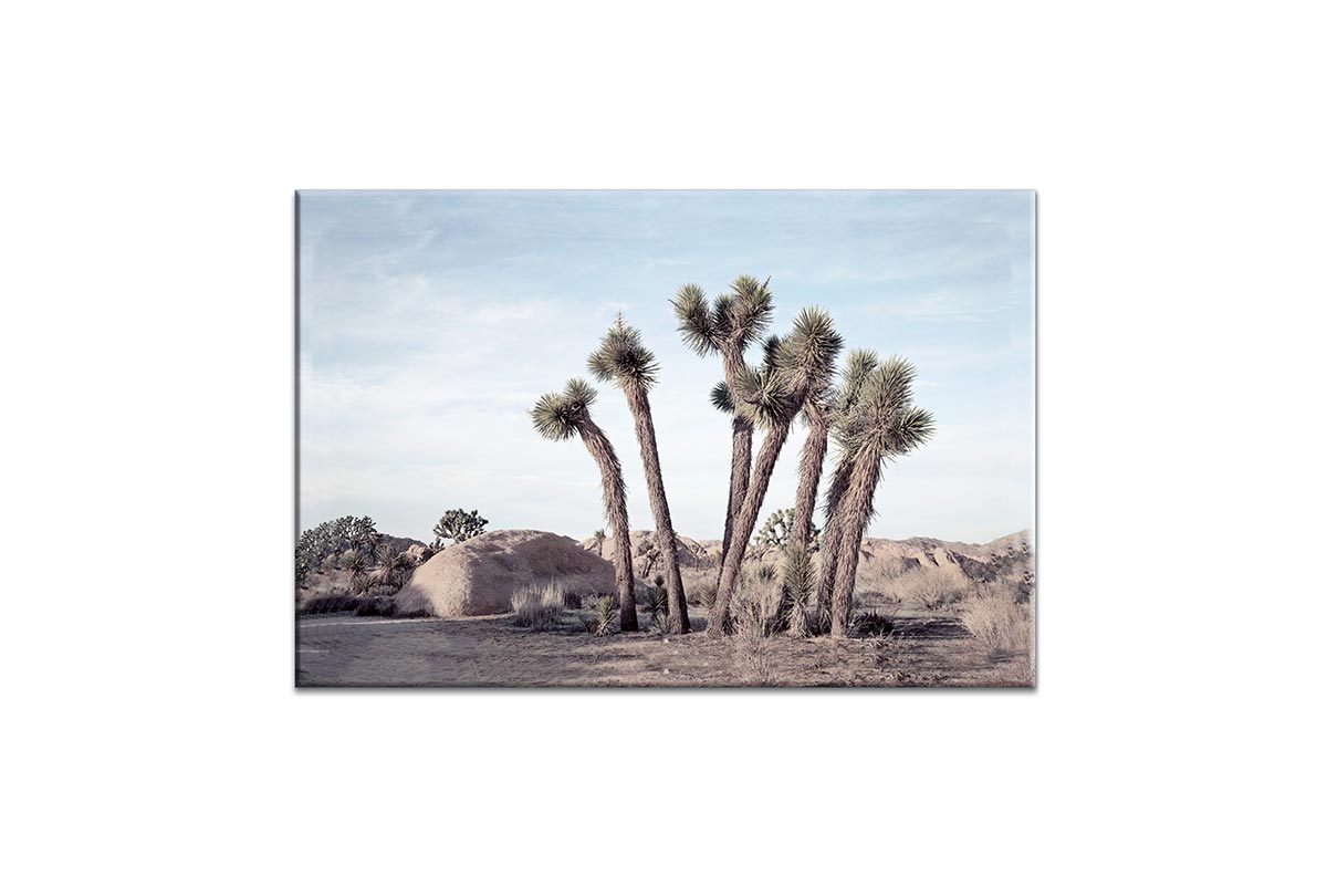Desert Joshua Trees Canvas Wall Art Print - Final Touch Decor