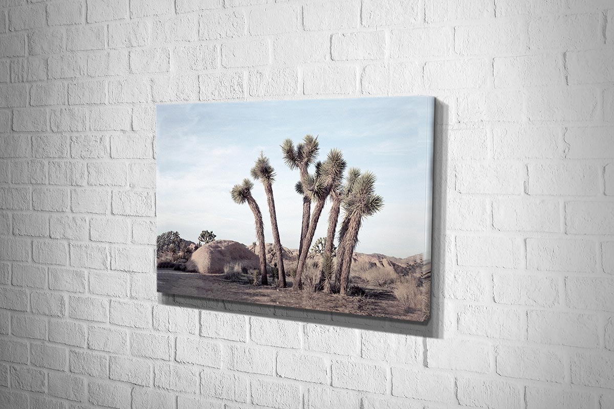 Desert Joshua Trees Canvas Wall Art Print - Final Touch Decor