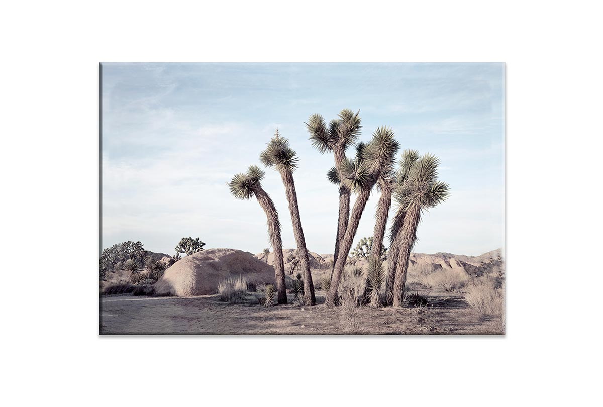 Desert Joshua Trees Canvas Wall Art Print - Final Touch Decor