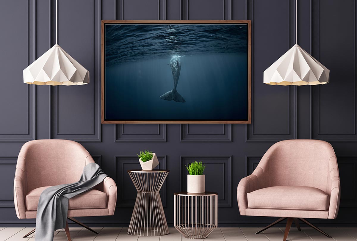 Whale from Below | Wall Art Print - Final Touch Decor