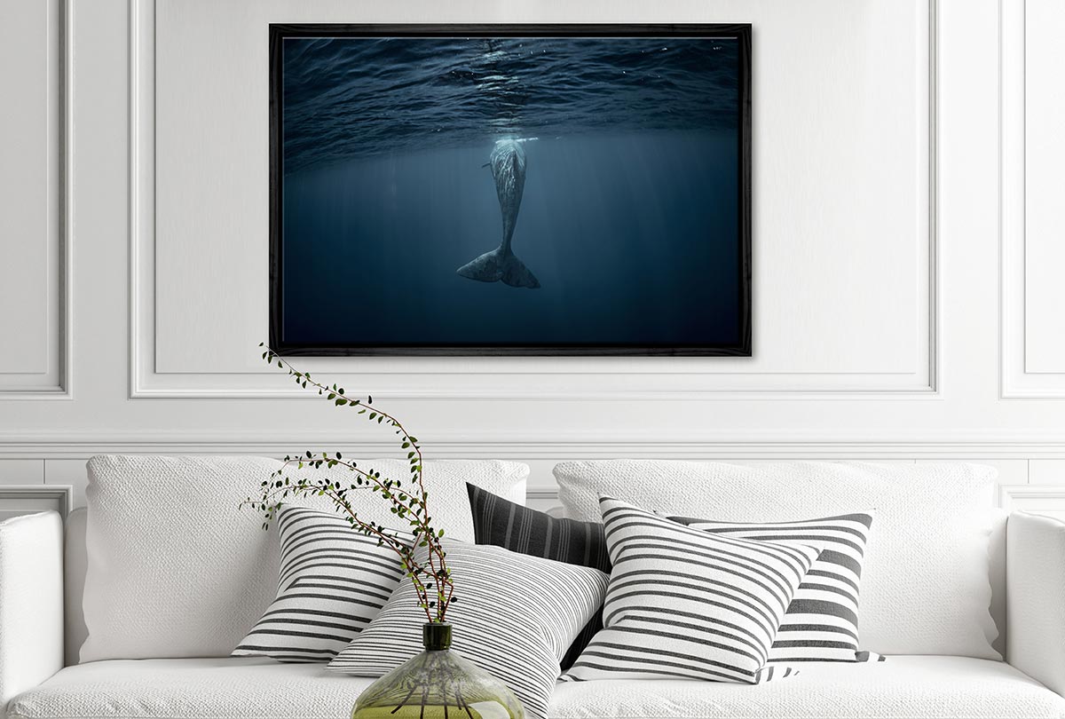 Whale from Below | Wall Art Print - Final Touch Decor