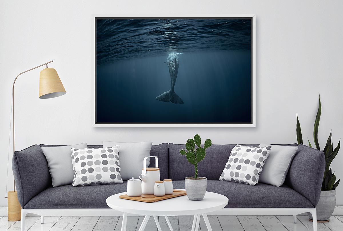 Whale from Below | Wall Art Print - Final Touch Decor