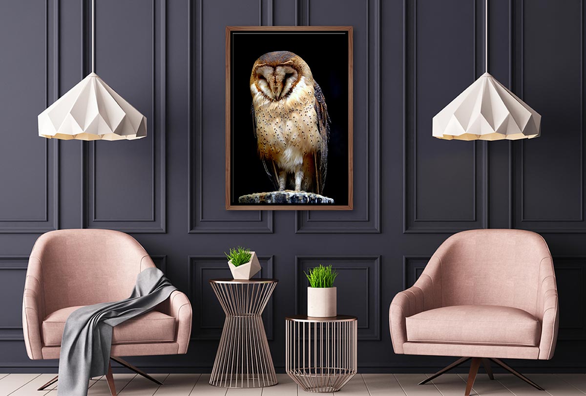Barn Owl | Canvas Wall Art Print - Final Touch Decor