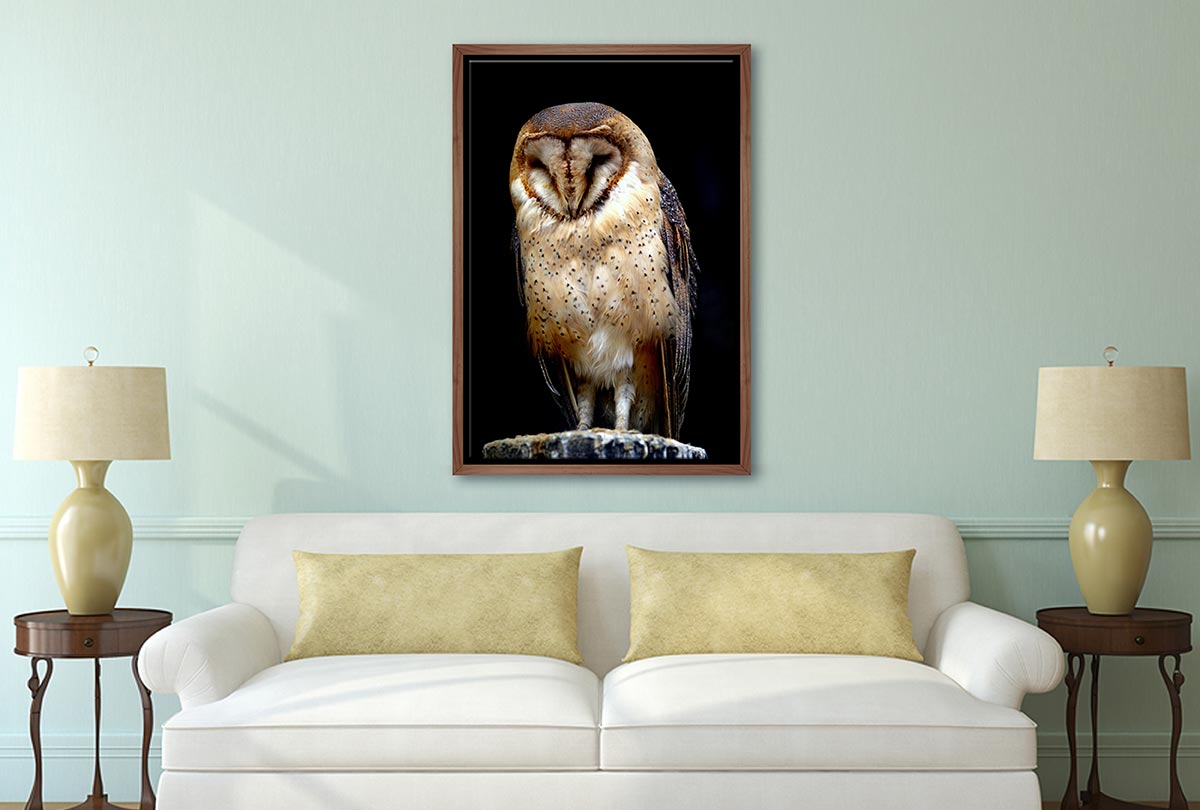 Barn Owl | Canvas Wall Art Print - Final Touch Decor