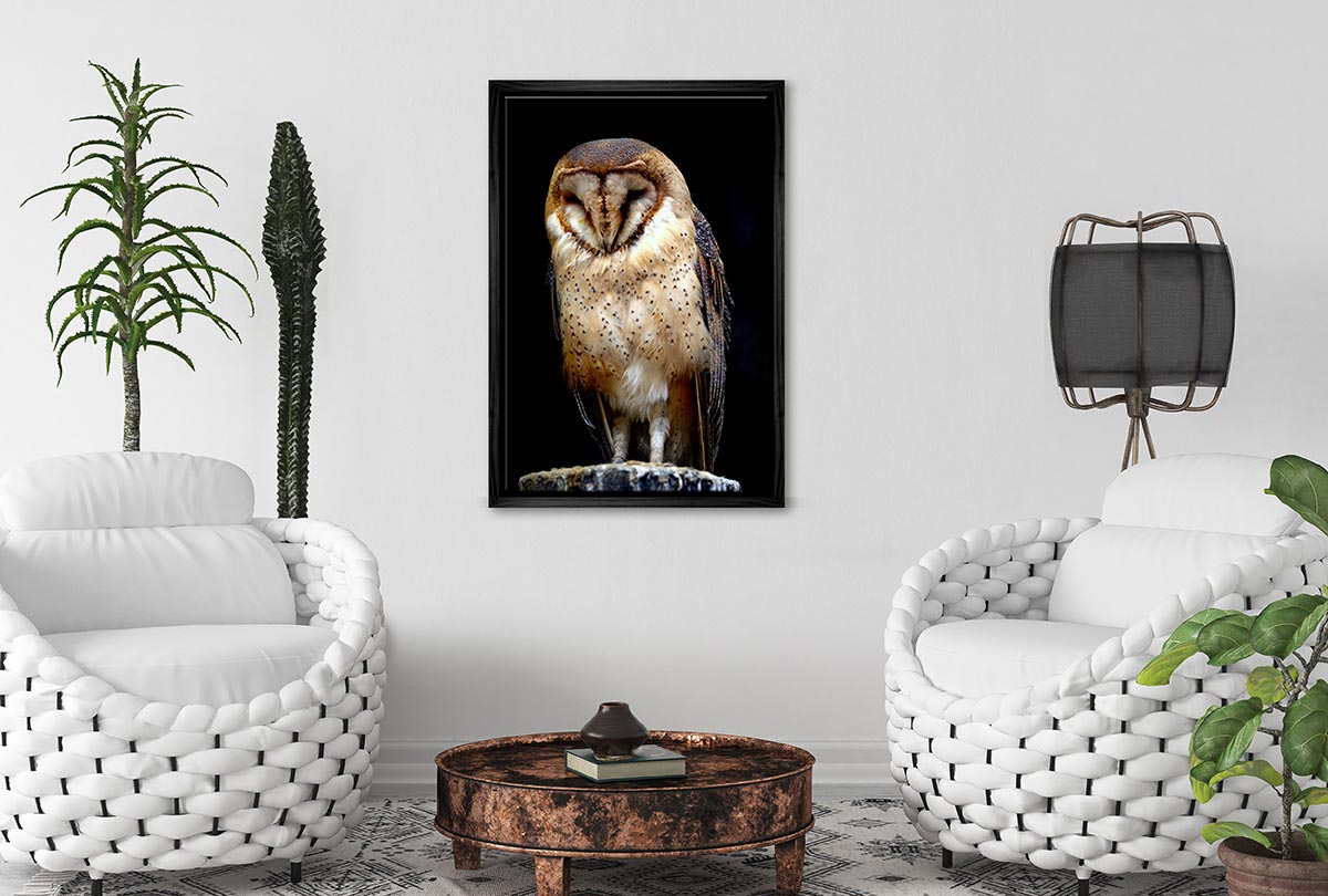 Barn Owl | Canvas Wall Art Print - Final Touch Decor