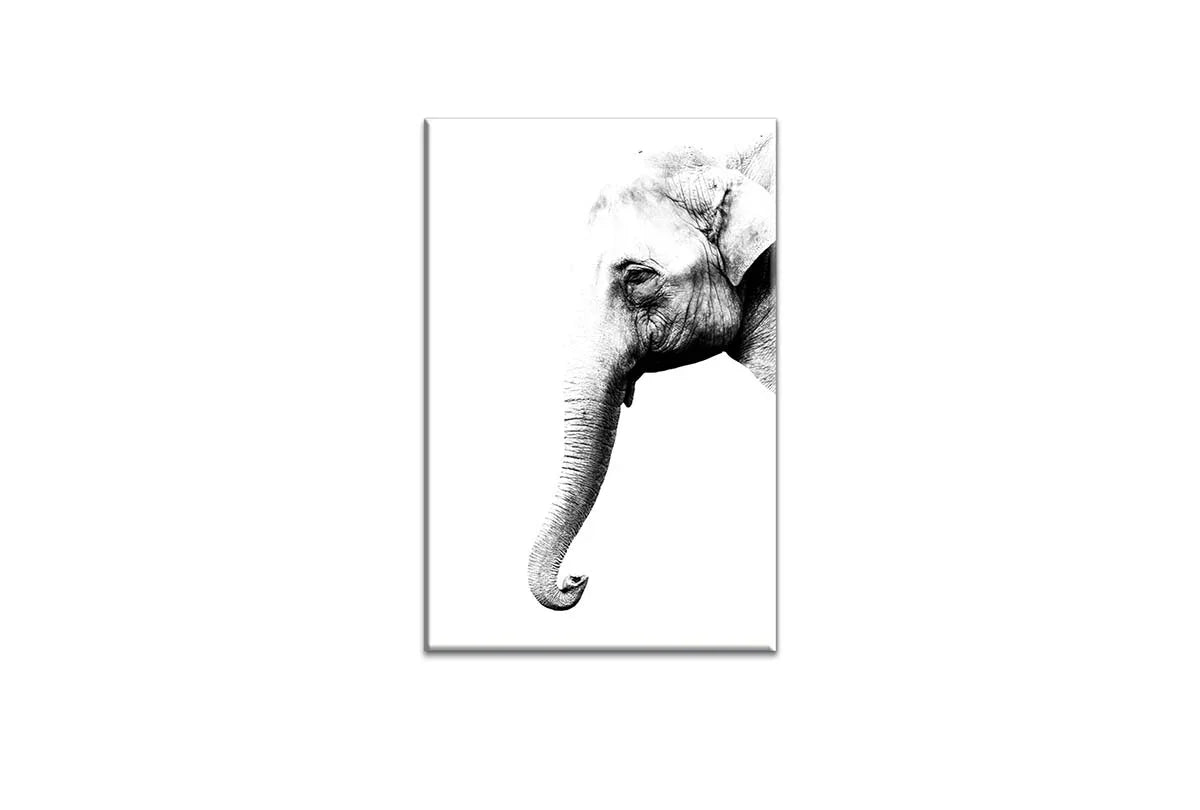 Elephant Portrait | Canvas Wall Art Print - Final Touch Decor