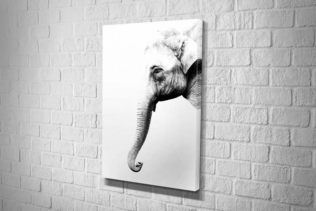Elephant Portrait | Canvas Wall Art Print - Final Touch Decor
