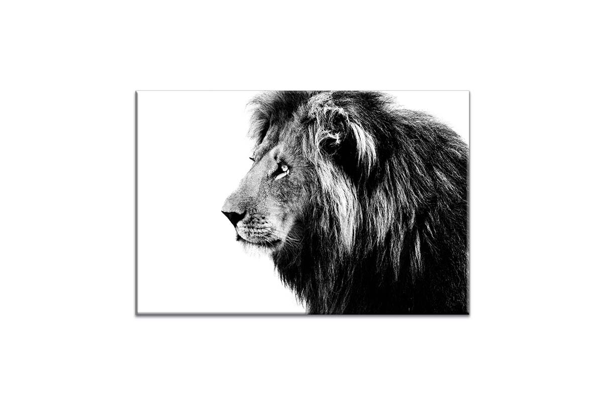 Lion Portrait | Canvas Wall Art Print - Final Touch Decor